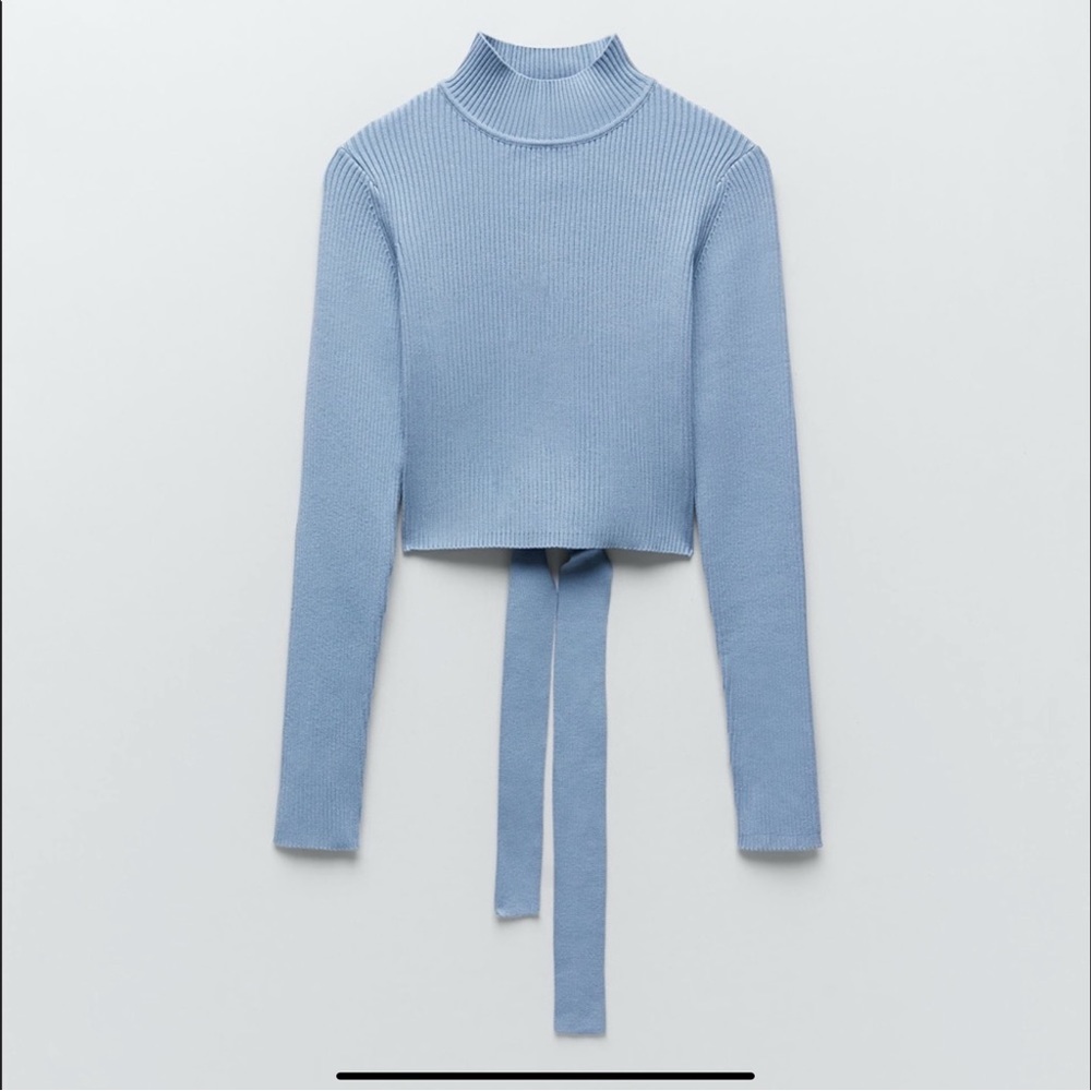 Zara Cropped Open Back Sweater